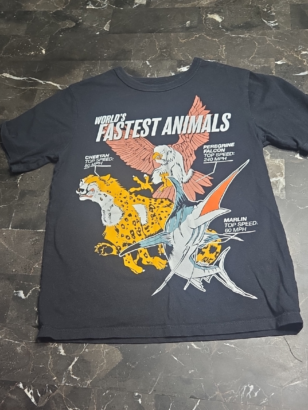Place Kids "World's Fastest Animals" Navy Graphic Tee